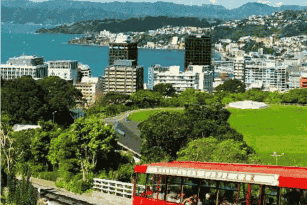 Ano academico Nueva Zelanda TECS extranjero city